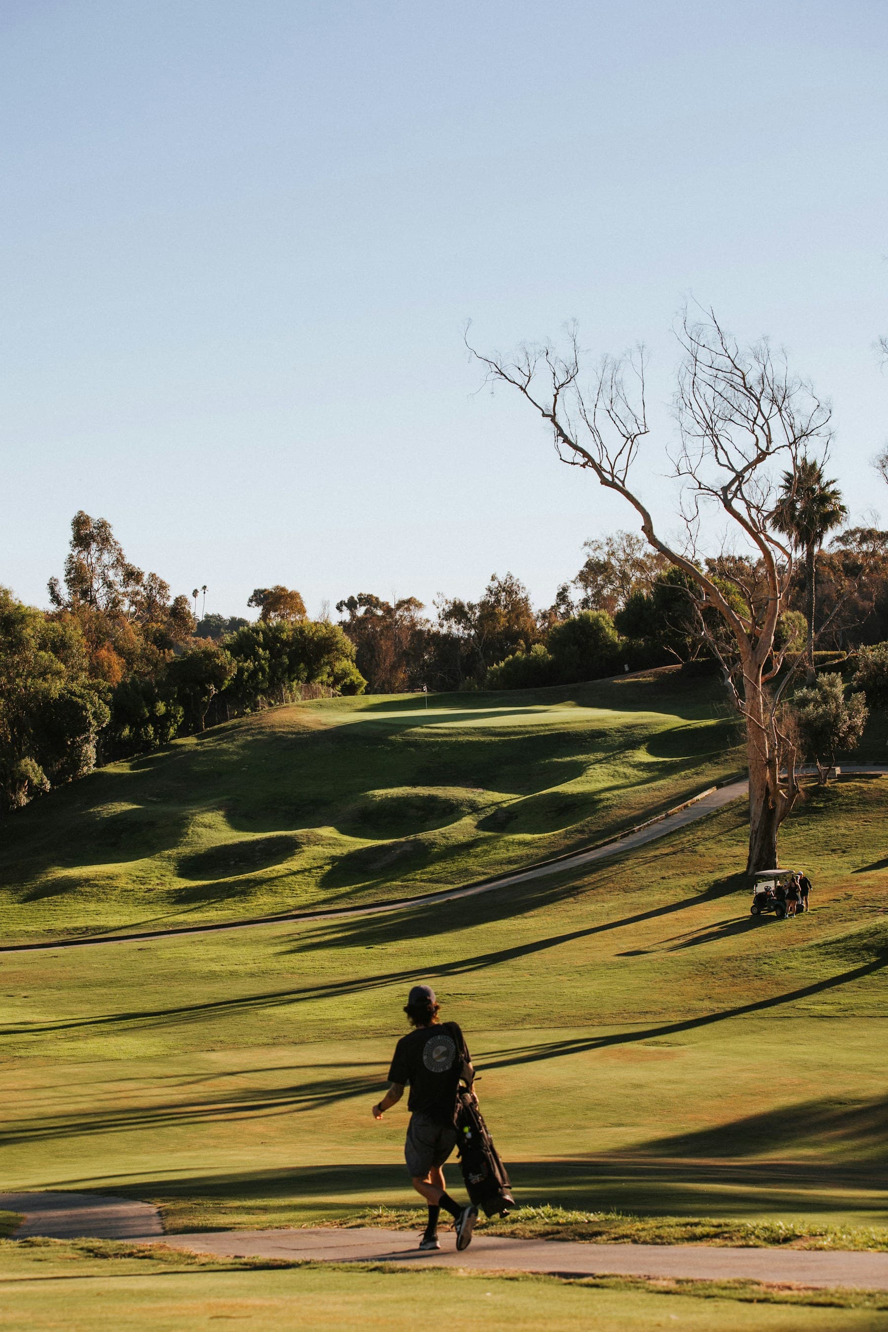 Golfer walking a sunlit fairway