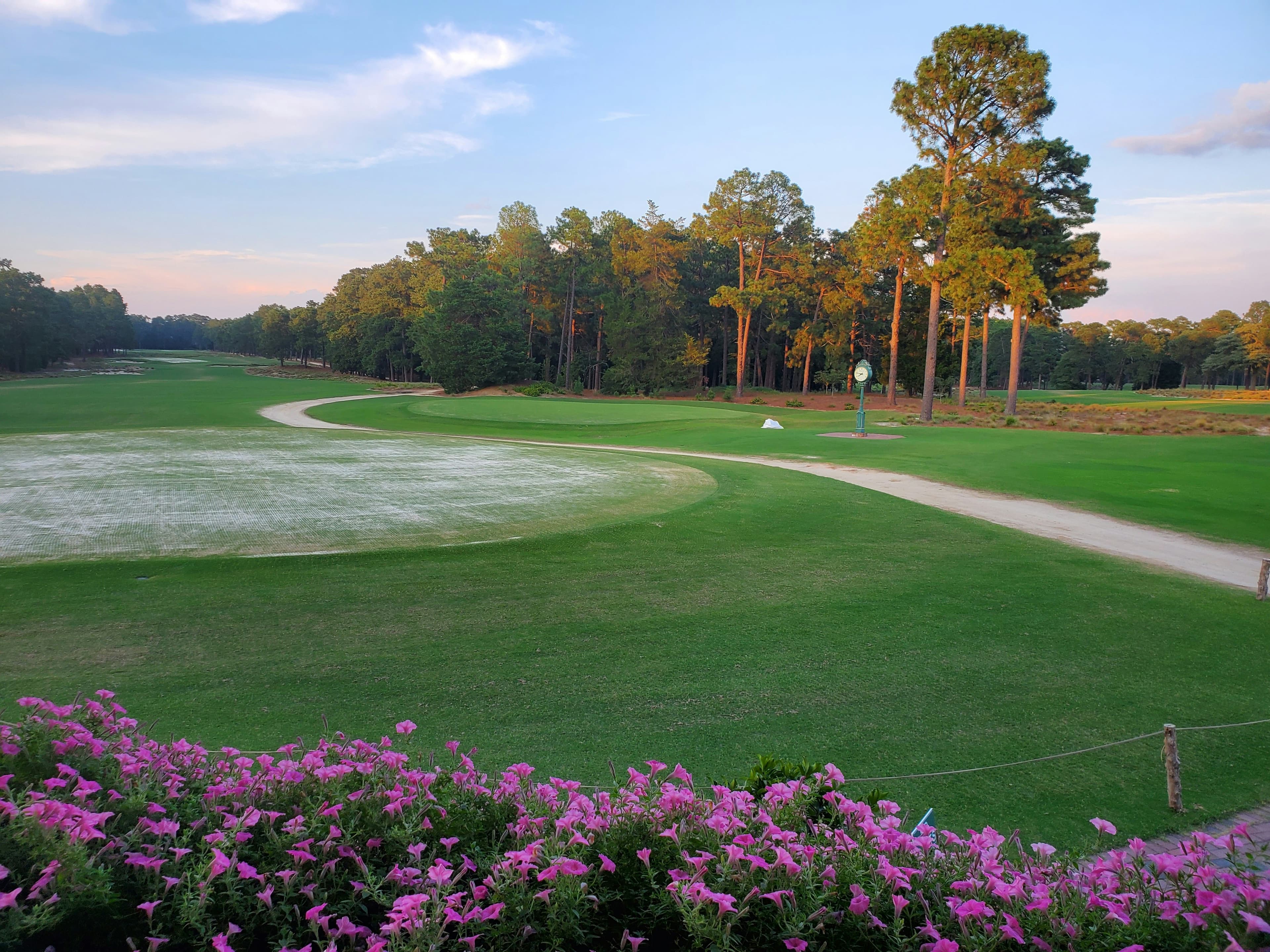 Tree-lined golf fairway in warm early light
